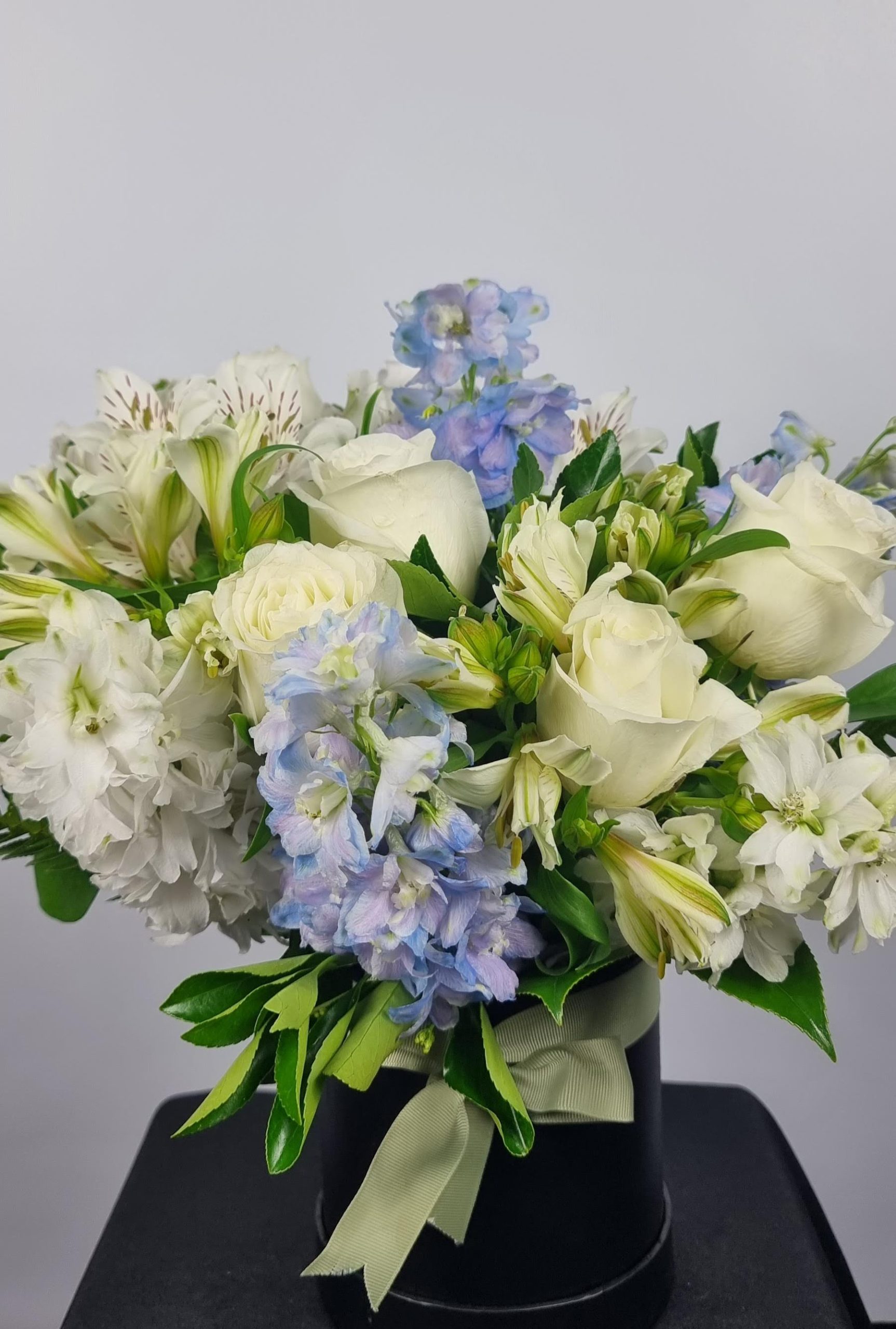 The Phantom of the Opera - Image 5