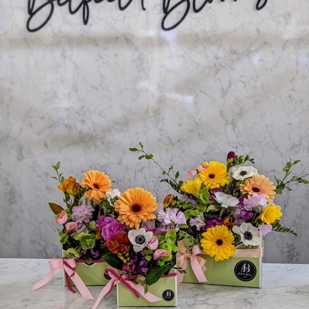 Spring-Break_962x1200e