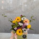 Spring-break-Standard_900x1200