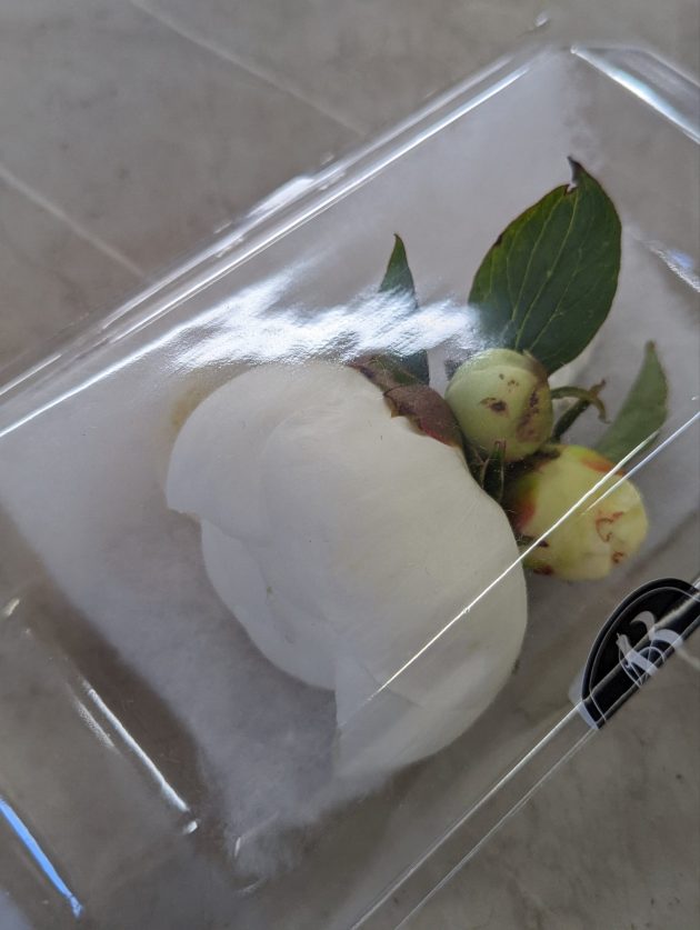 Peony buttonhole - Image 3