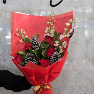 Dashing through the snow