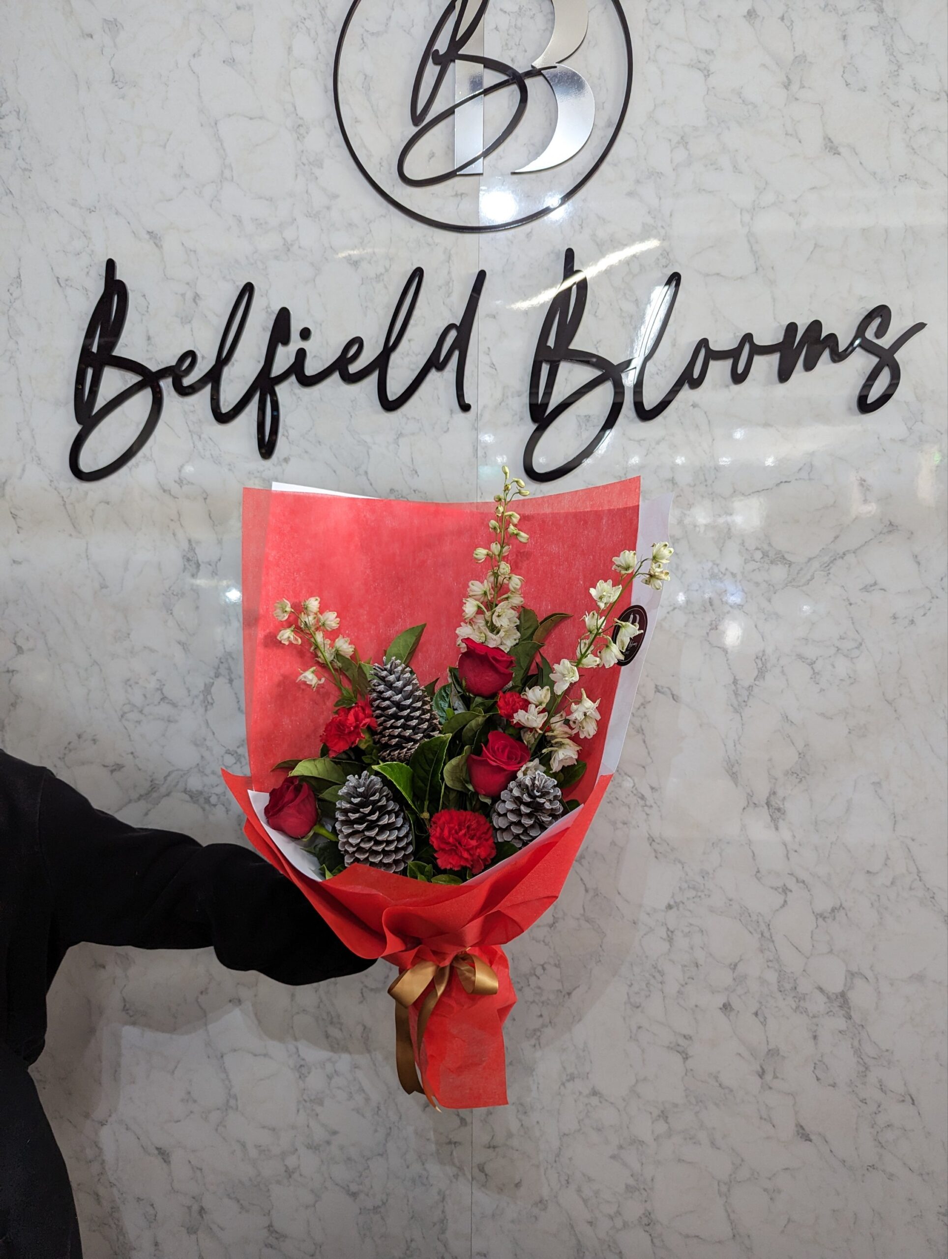 Dashing through the snow - Image 2