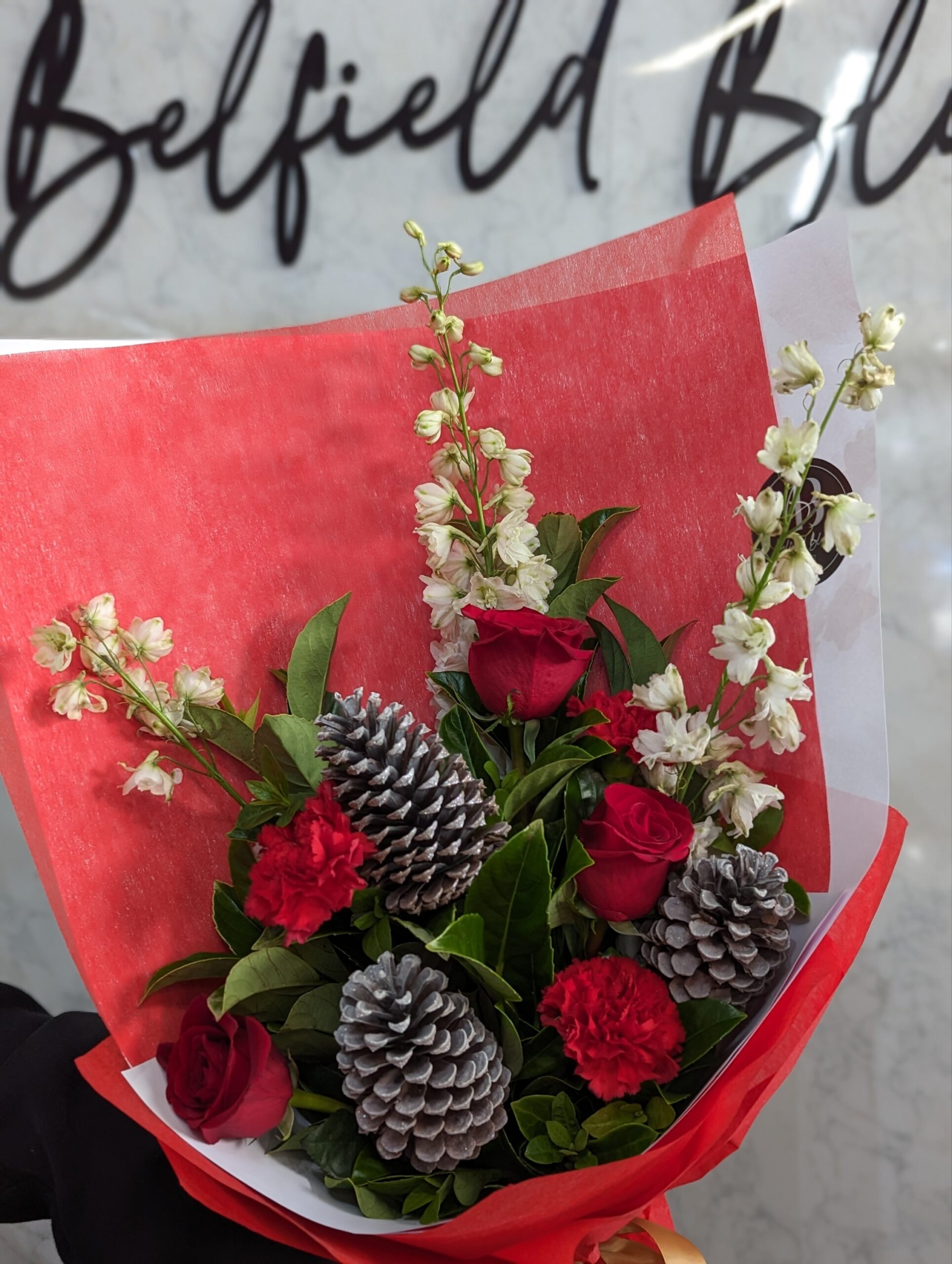 Dashing through the snow - Image 6