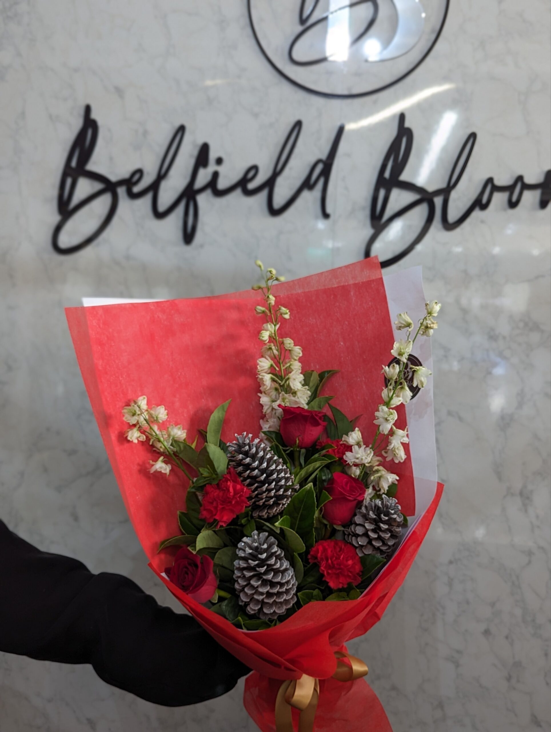 Dashing through the snow - Image 3