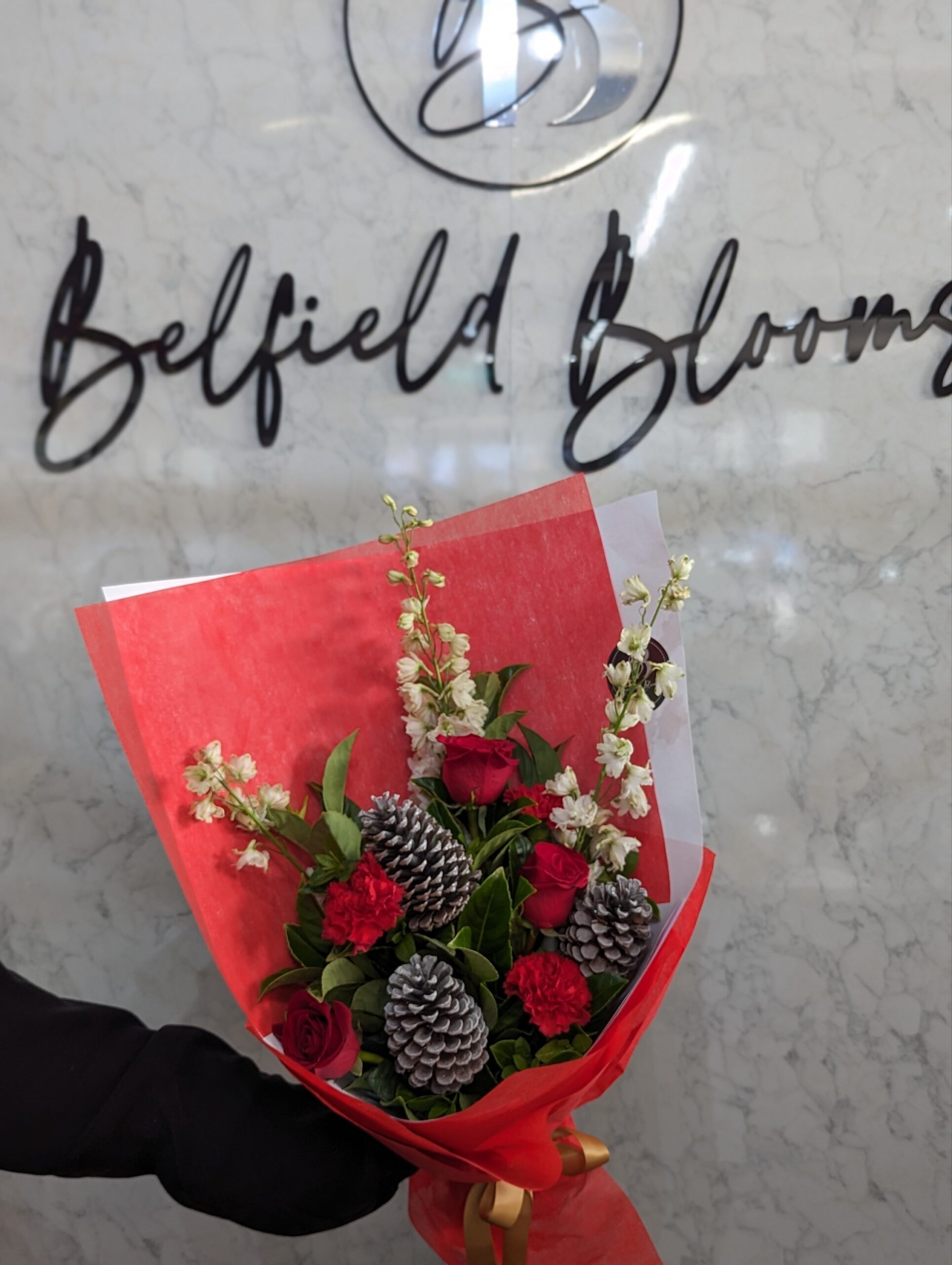 Dashing through the snow - Image 4