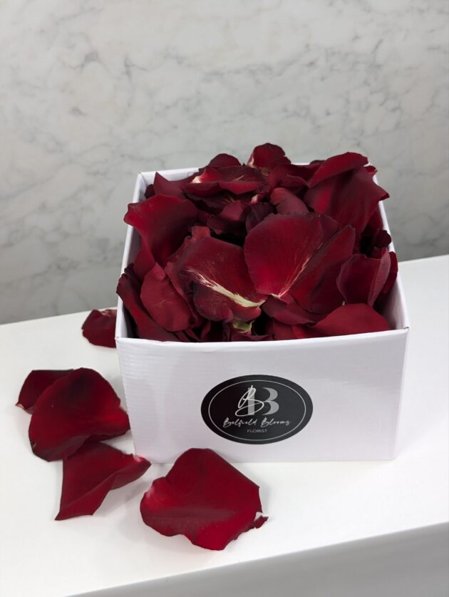 Petal Love