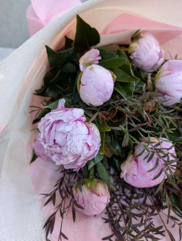 Peony - Image 2