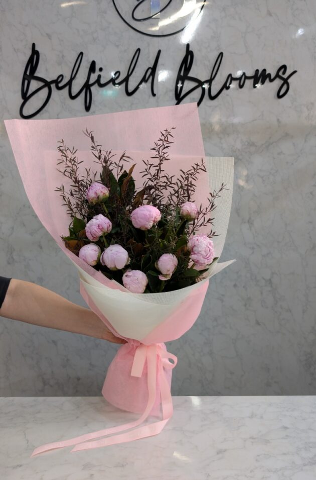 Pink peony