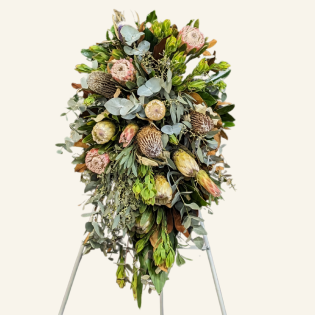 Order a native teardrop tribute in Belfield, Sydney. Featuring proteas, banksias, and mixed Australian & African native flowers. Funeral flower delivery across Inner West, Canterbury-Bankstown, Strathfield & Burwood by Belfield Blooms.