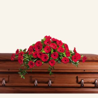 gerbera casket cover sydney