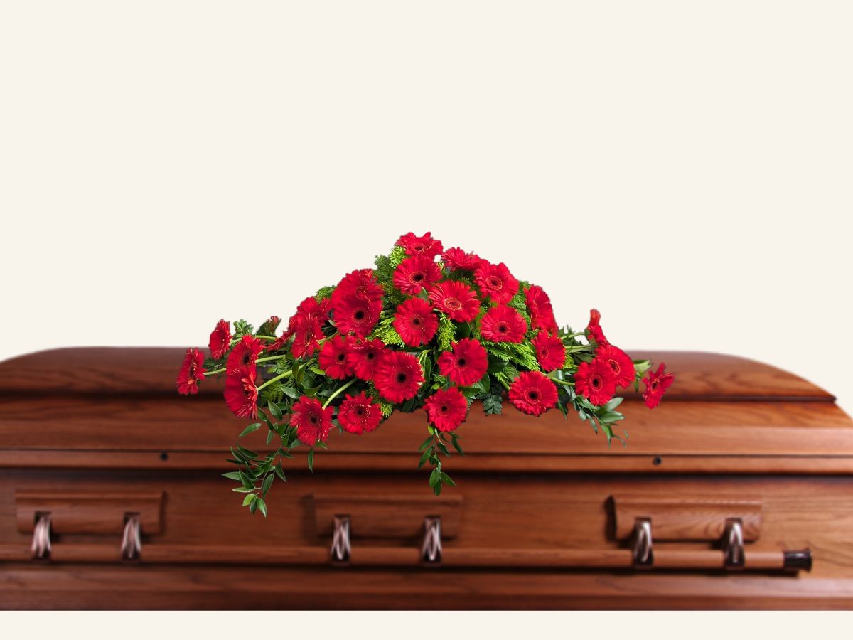 gerbera casket cover sydney