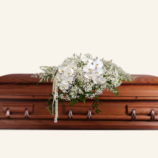 A refined modern casket cover featuring baby’s breath, misty, orchids, and hanging preserved amaranthus.